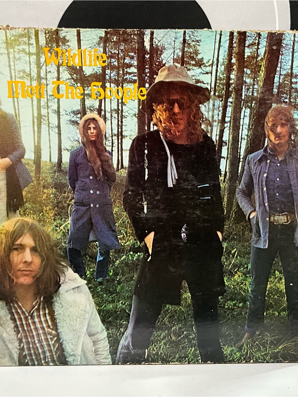 Mott The Hoople - Wildlife  LP, 1971  Atlantic Records SD 8284